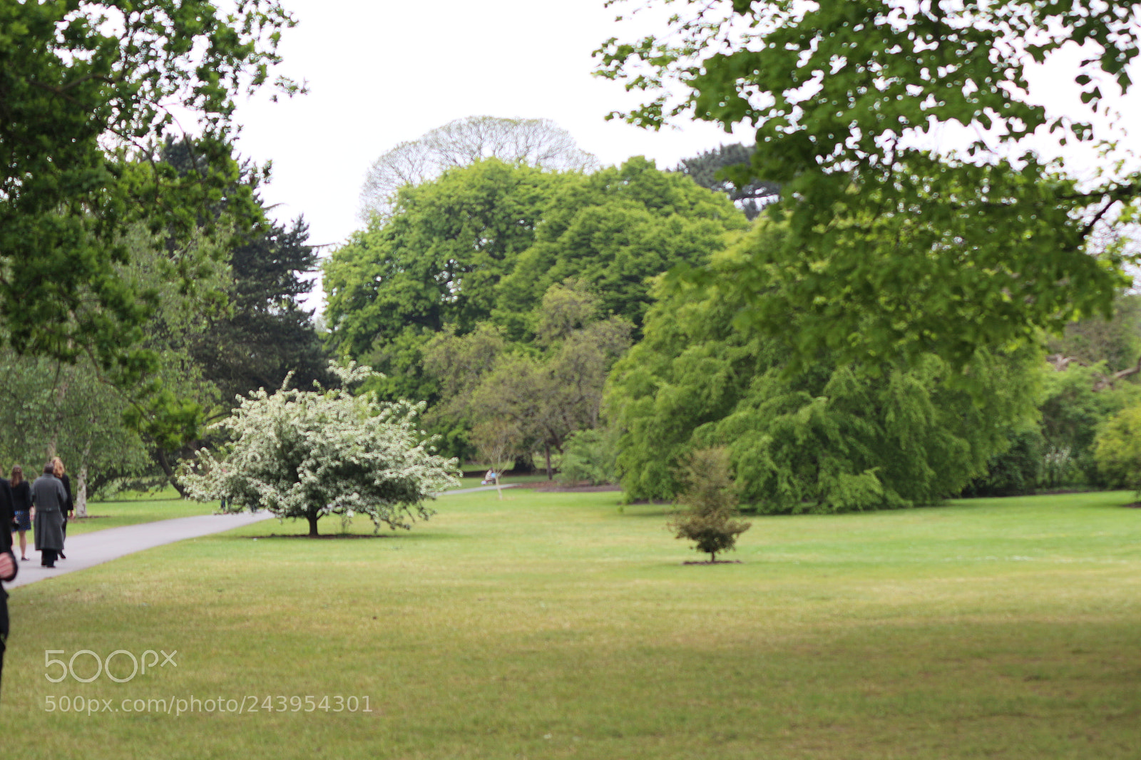 Canon EOS 650D (EOS Rebel T4i / EOS Kiss X6i) sample photo. Img photography