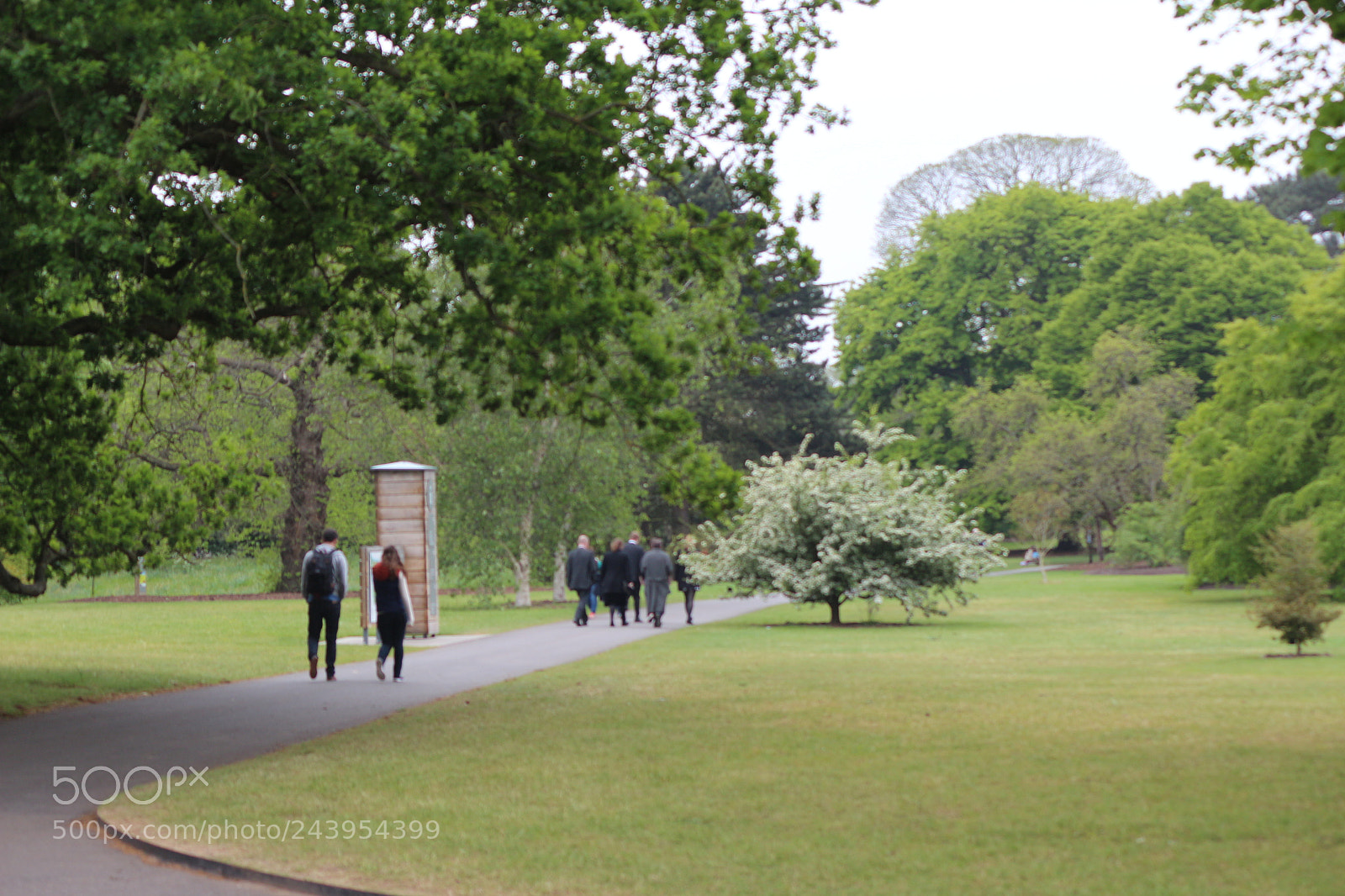 Canon EOS 650D (EOS Rebel T4i / EOS Kiss X6i) sample photo. Img photography