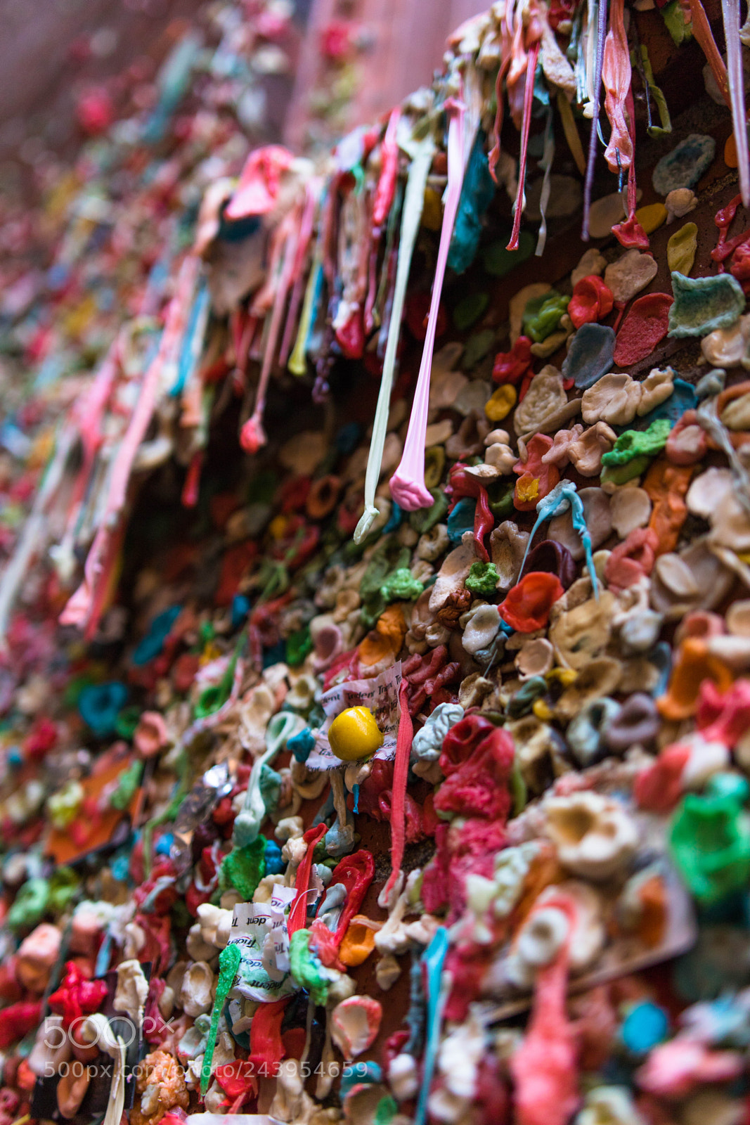 Canon EOS 7D Mark II sample photo. Kk0a9055-3.jpg photography