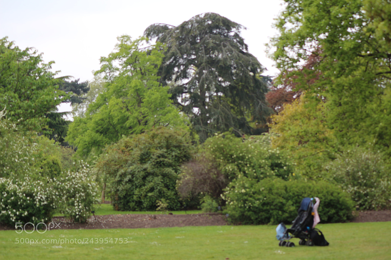 Canon EOS 650D (EOS Rebel T4i / EOS Kiss X6i) sample photo. Img photography