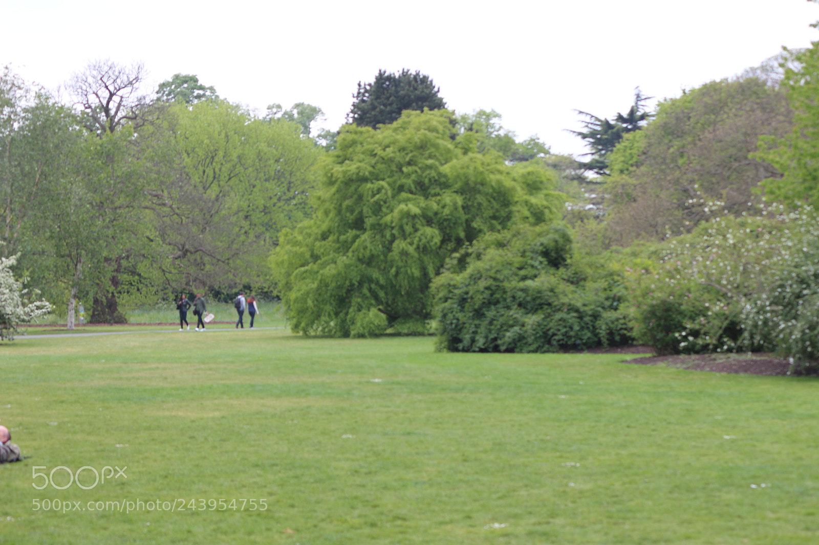 Canon EOS 650D (EOS Rebel T4i / EOS Kiss X6i) sample photo. Img photography