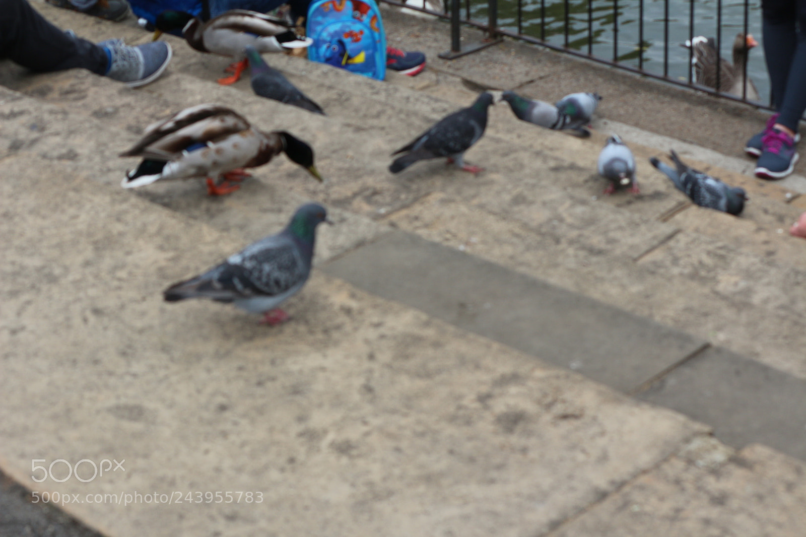 Canon EOS 650D (EOS Rebel T4i / EOS Kiss X6i) sample photo. Img photography