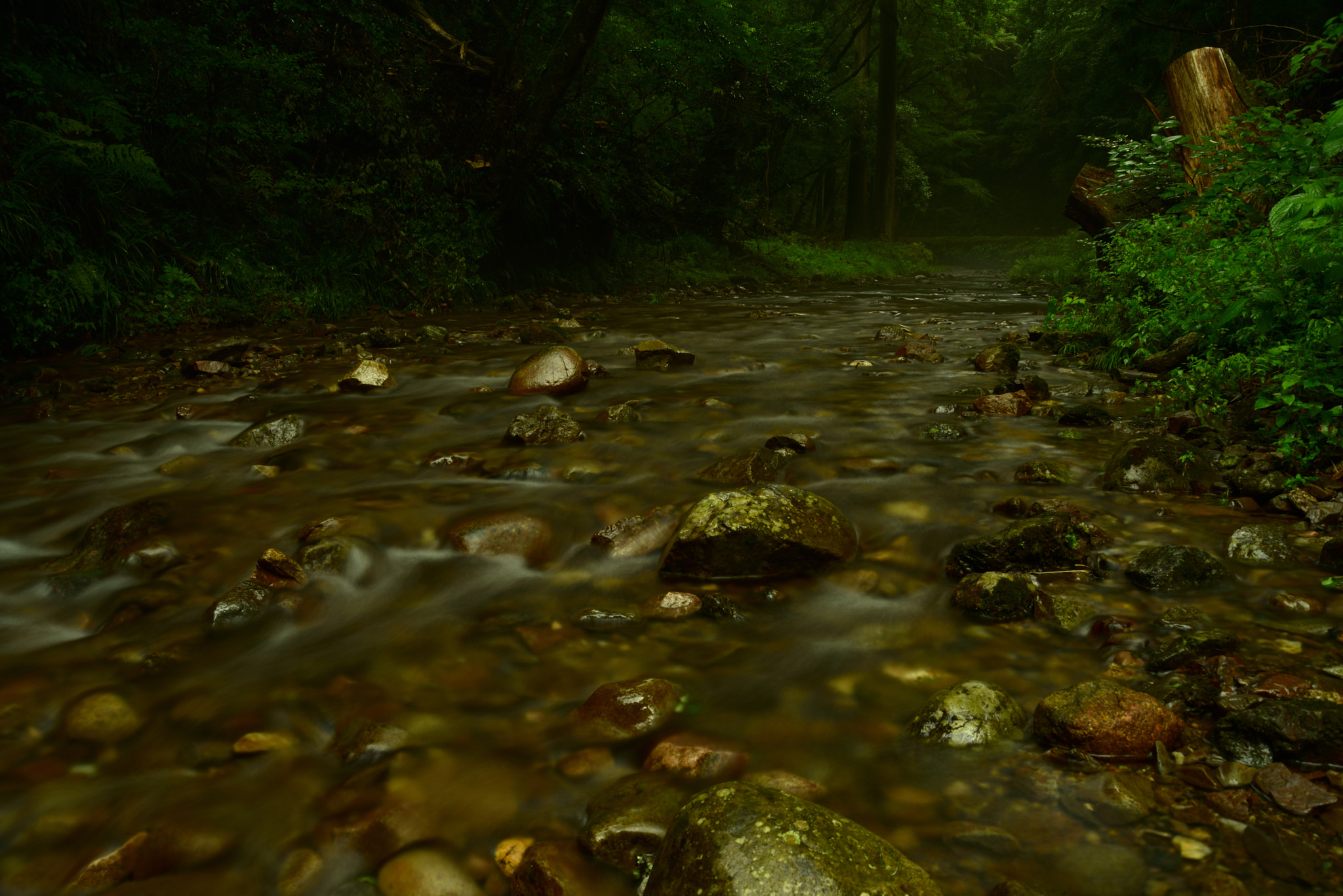 AF Zoom-Nikkor 28-200mm f/3.5-5.6D IF sample photo. River photography