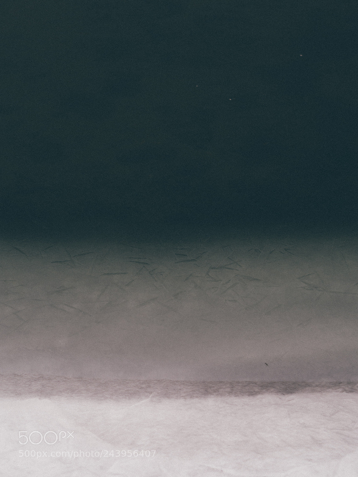 Olympus OM-D E-M10 II sample photo. Rothko？ photography