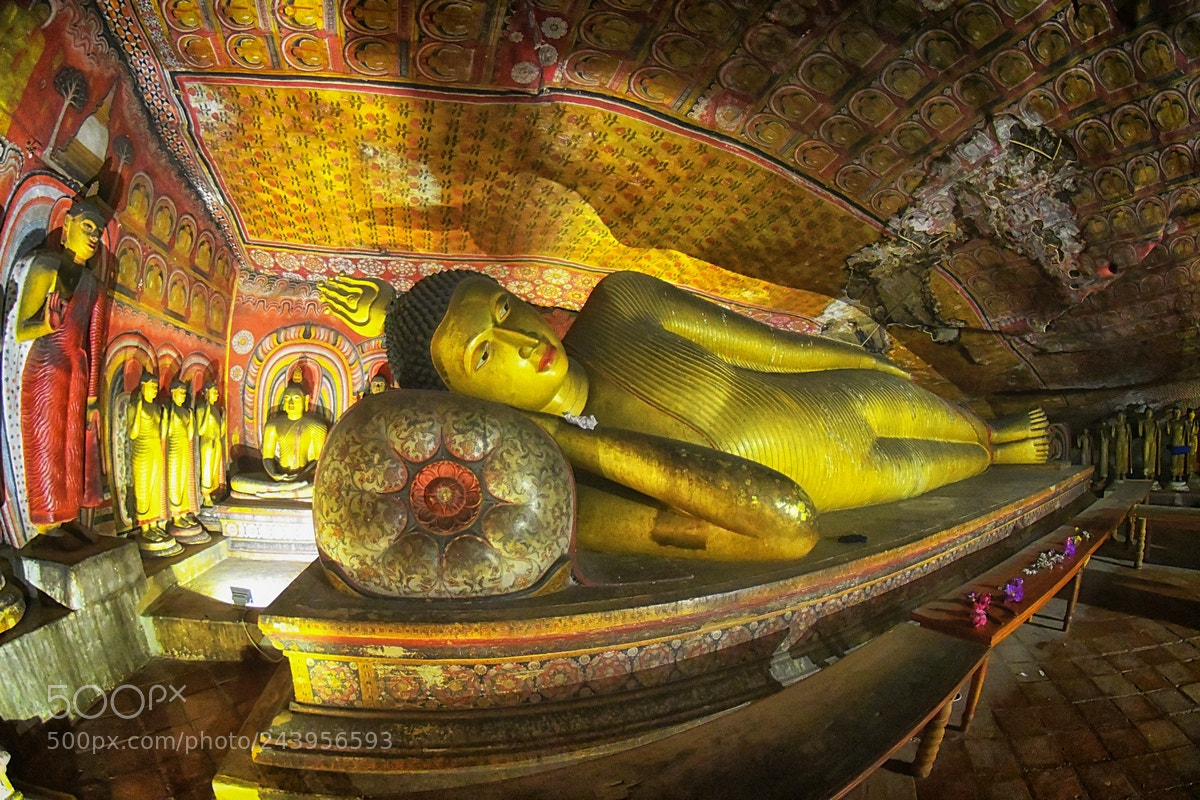 Nikon D500 sample photo. Buddha photography