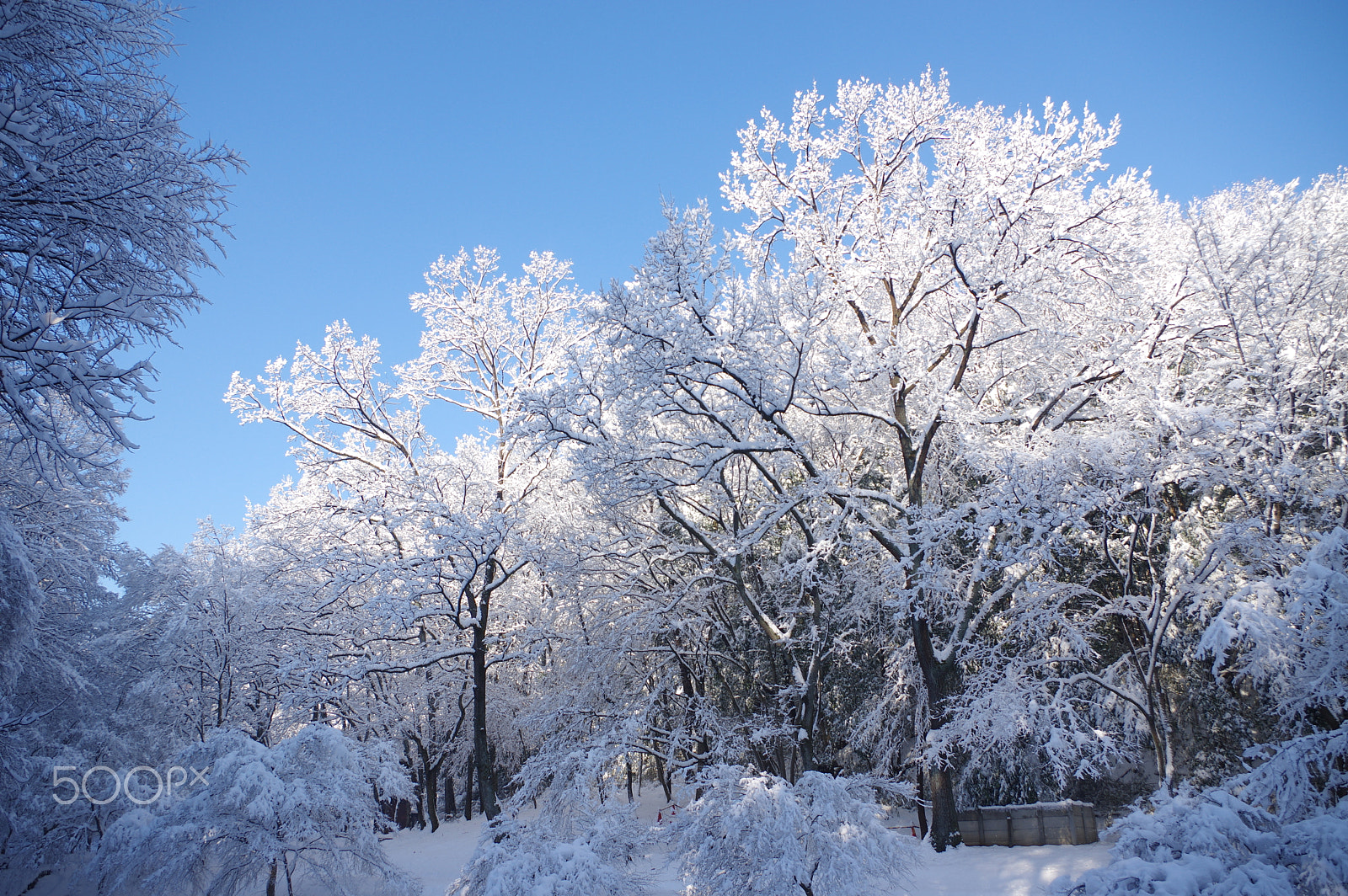 smc PENTAX-DA L 18-55mm F3.5-5.6 sample photo. Snow makeup photography