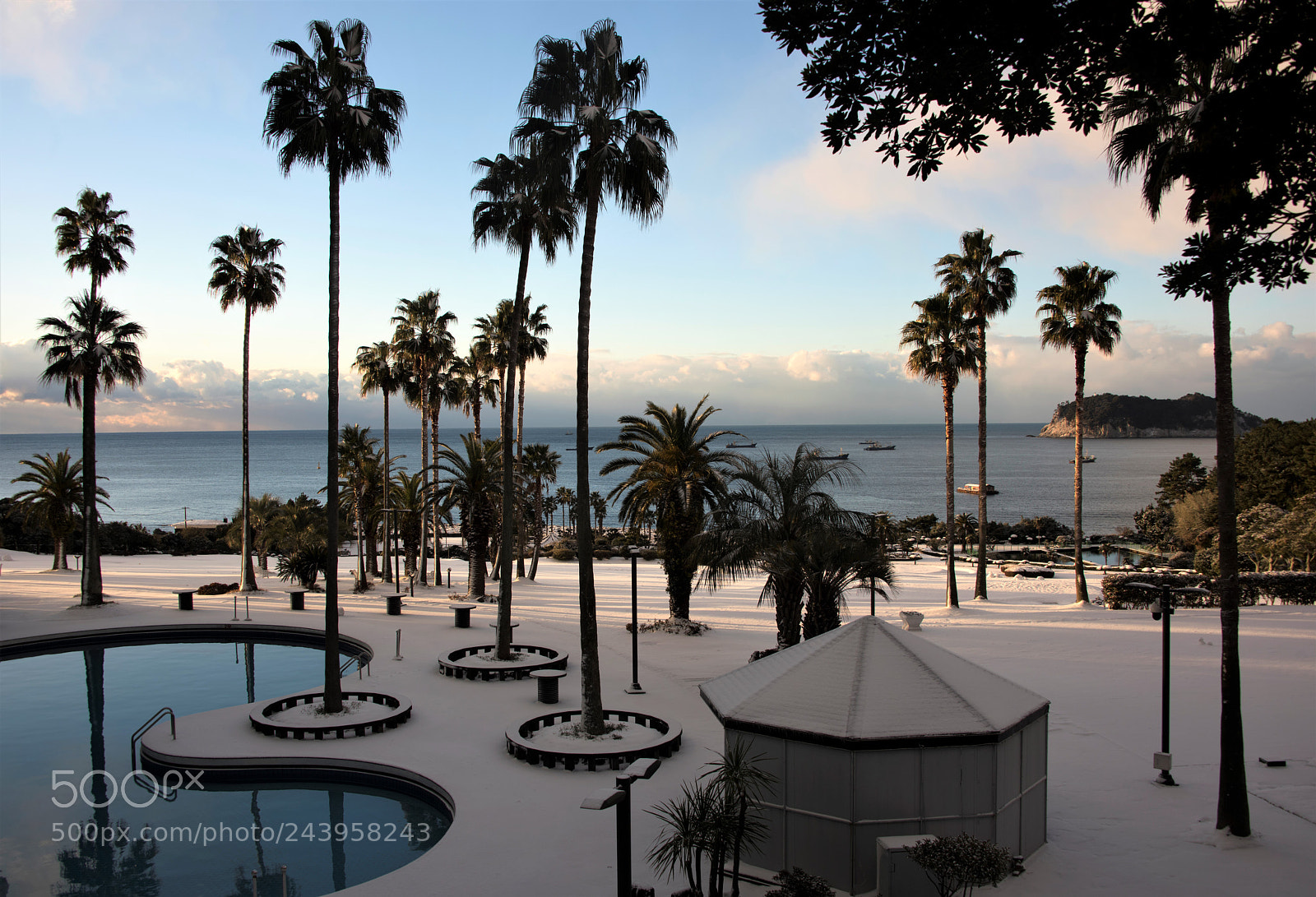 Nikon D810 sample photo. Charming morning in winter photography