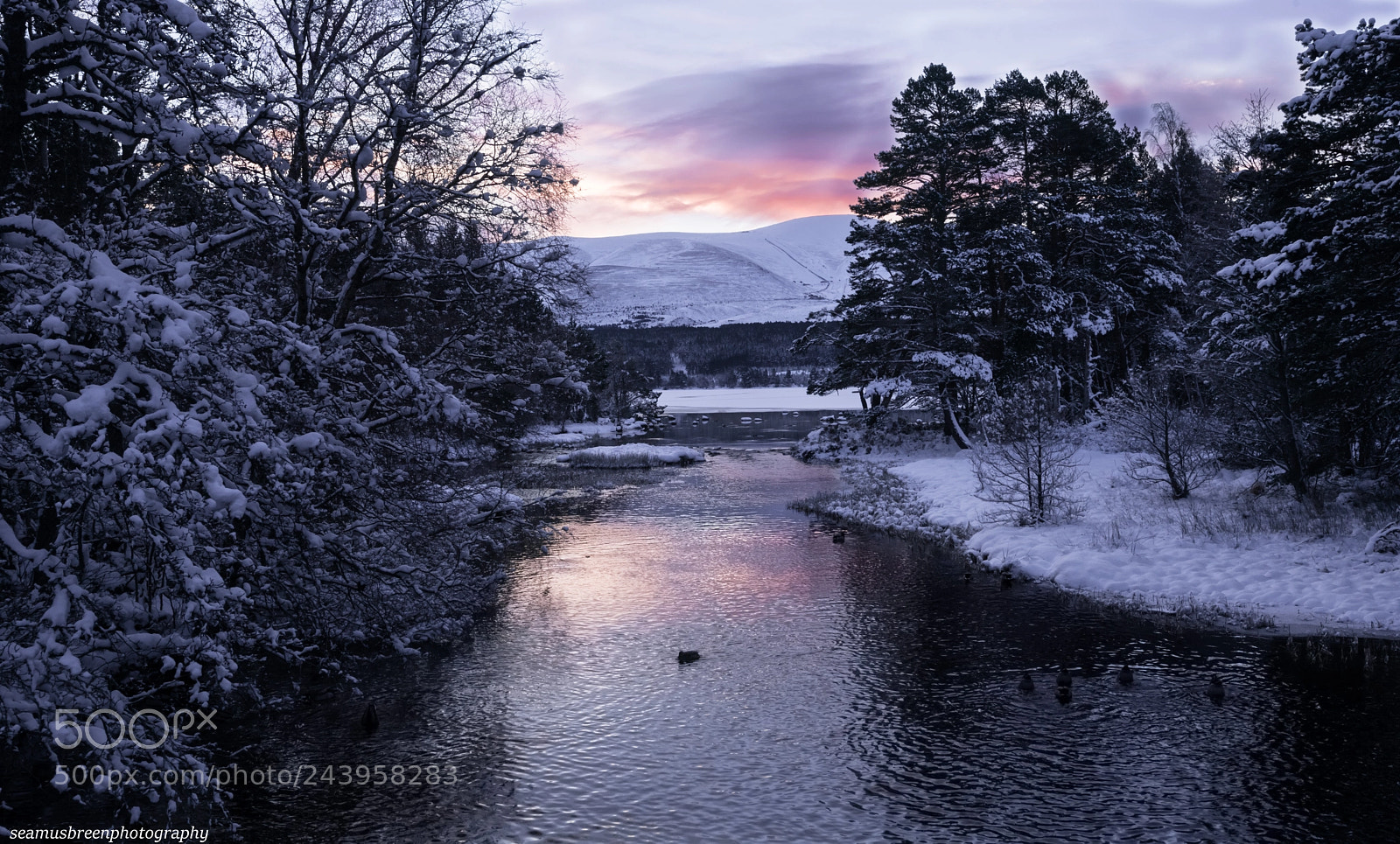 Nikon D850 sample photo. River luineag enters loch photography