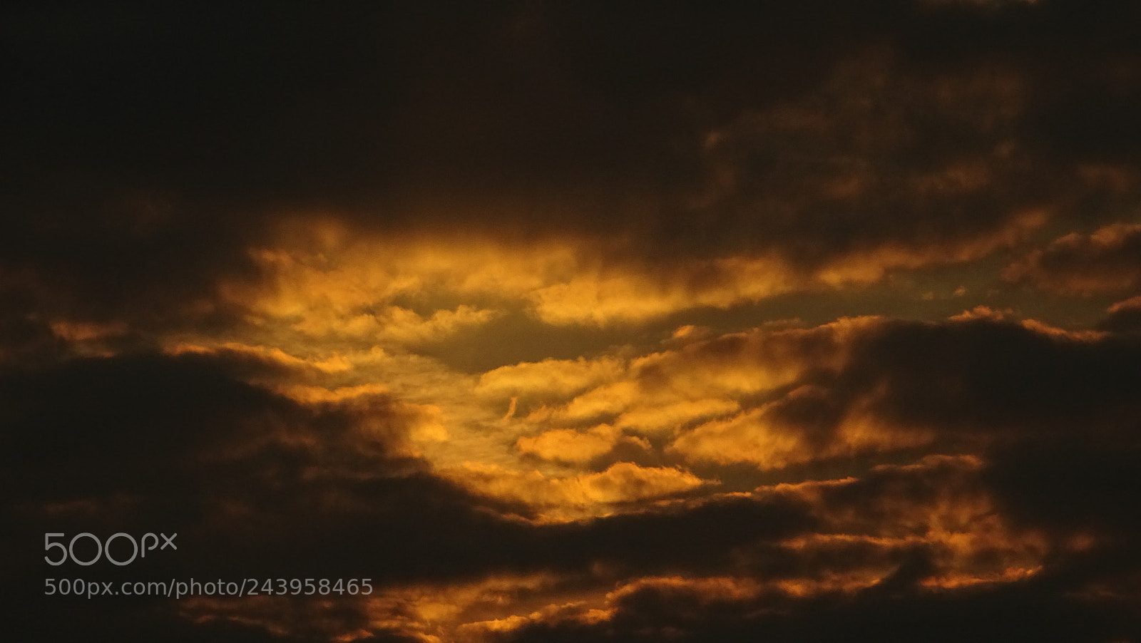 Sony Cyber-shot DSC-HX350 sample photo. Morgenrot photography