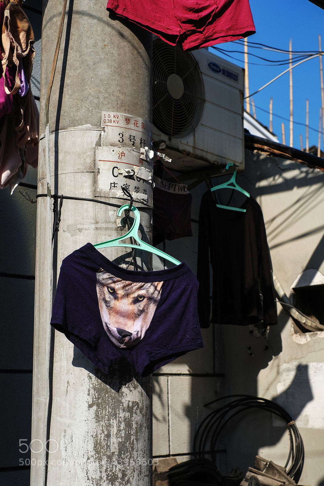 Fujifilm X-T2 sample photo. Untitled photography
