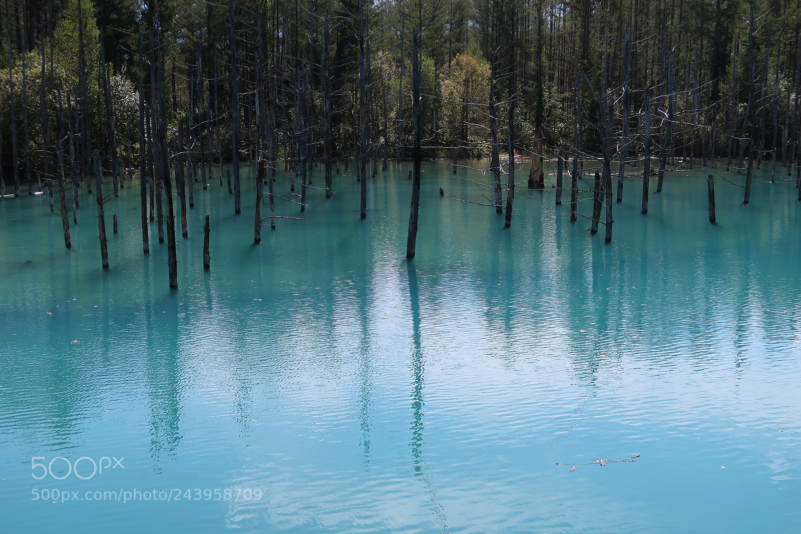 Canon PowerShot G7 X Mark II sample photo. Blue pond photography