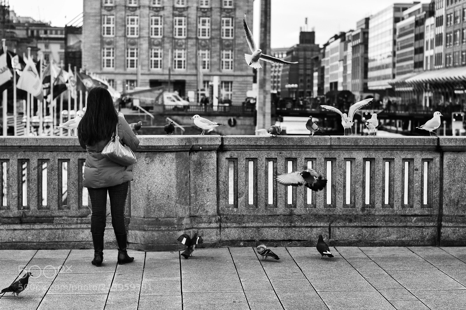 Canon EOS 60D sample photo. Birds photography