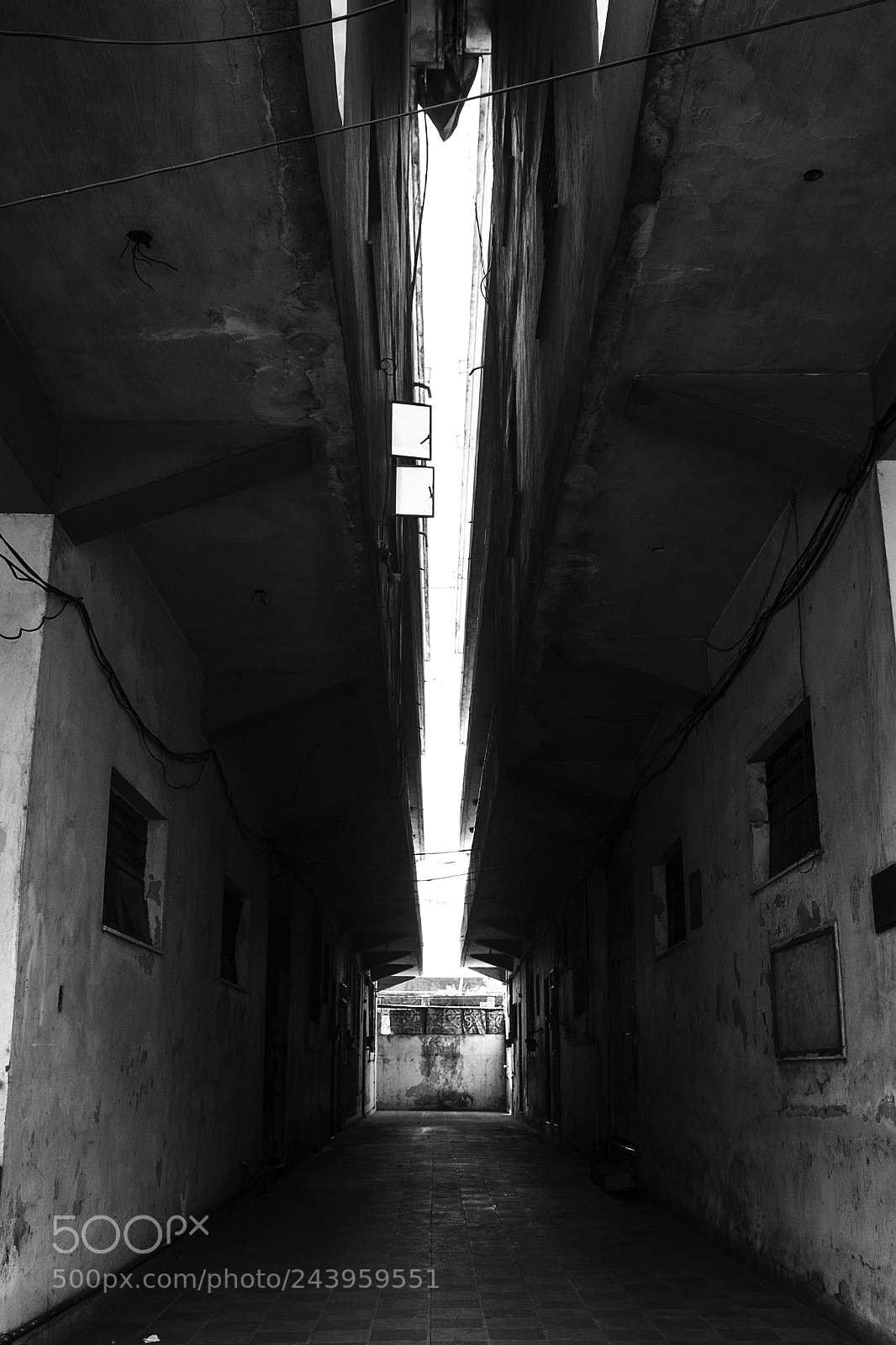 Nikon D3100 sample photo. Explosión de luz photography