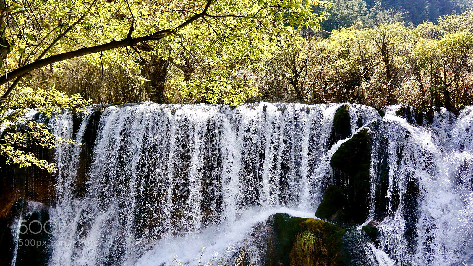 Sony Alpha NEX-5N sample photo. 九寨溝 joezhaigo photography
