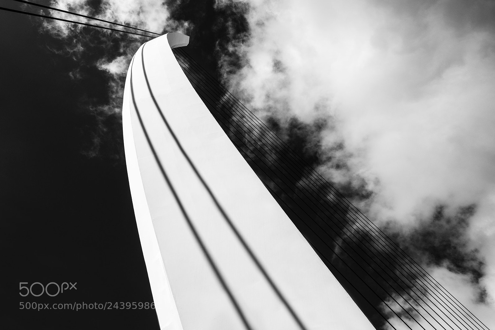 Nikon D800 sample photo. B&w photography