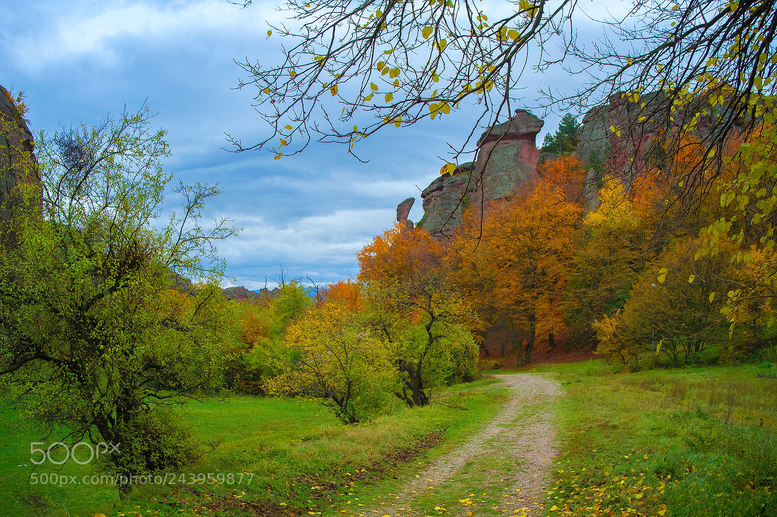 Sony Alpha DSLR-A850 sample photo. Autumn road photography