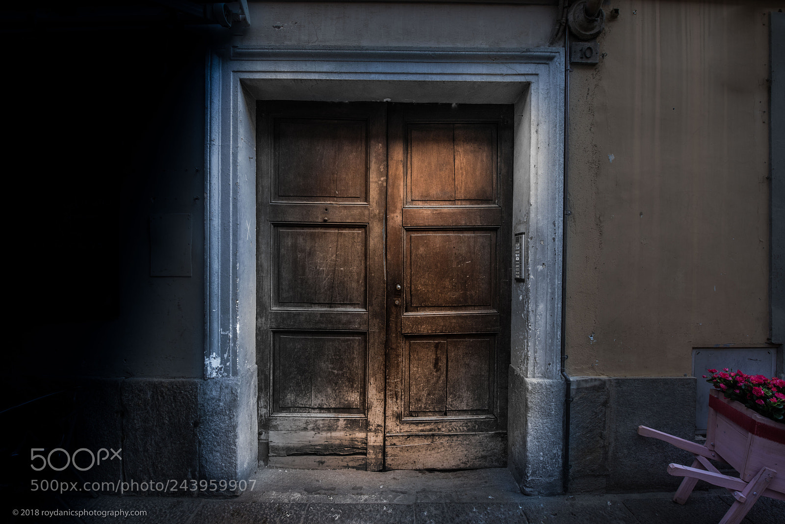 Nikon D810 sample photo. Brown door photography