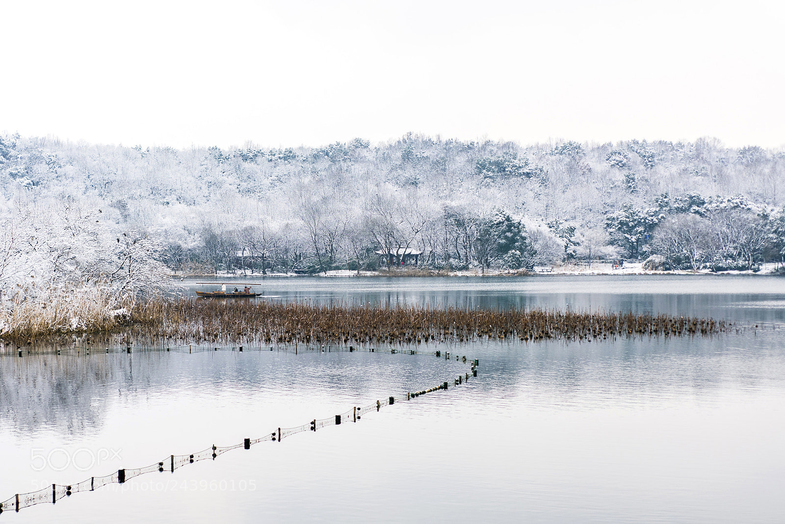 Nikon D810 sample photo. 茅家埠 photography