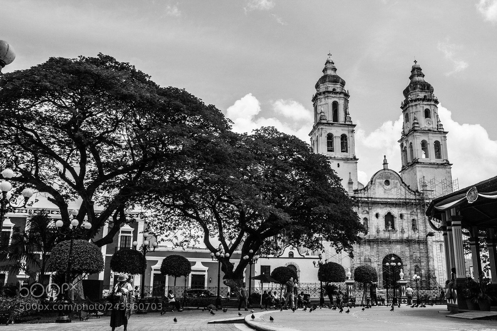 Canon EOS 60D sample photo. Campeche photography