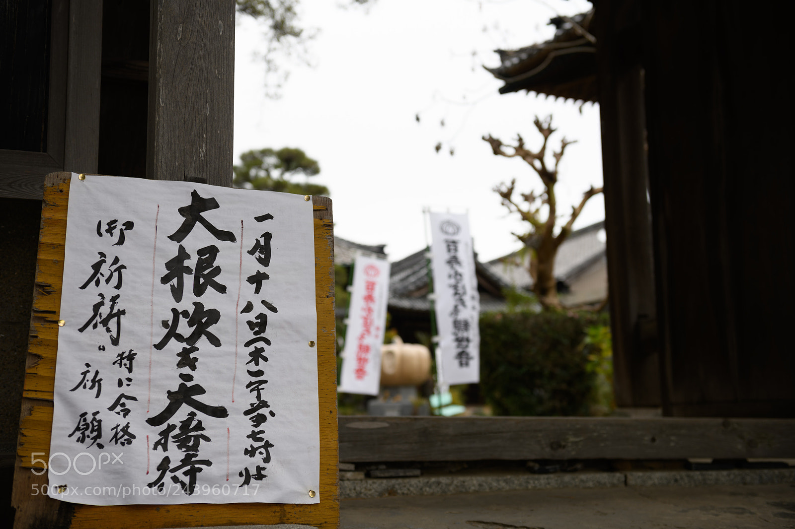 Nikon D850 sample photo. Notification photography