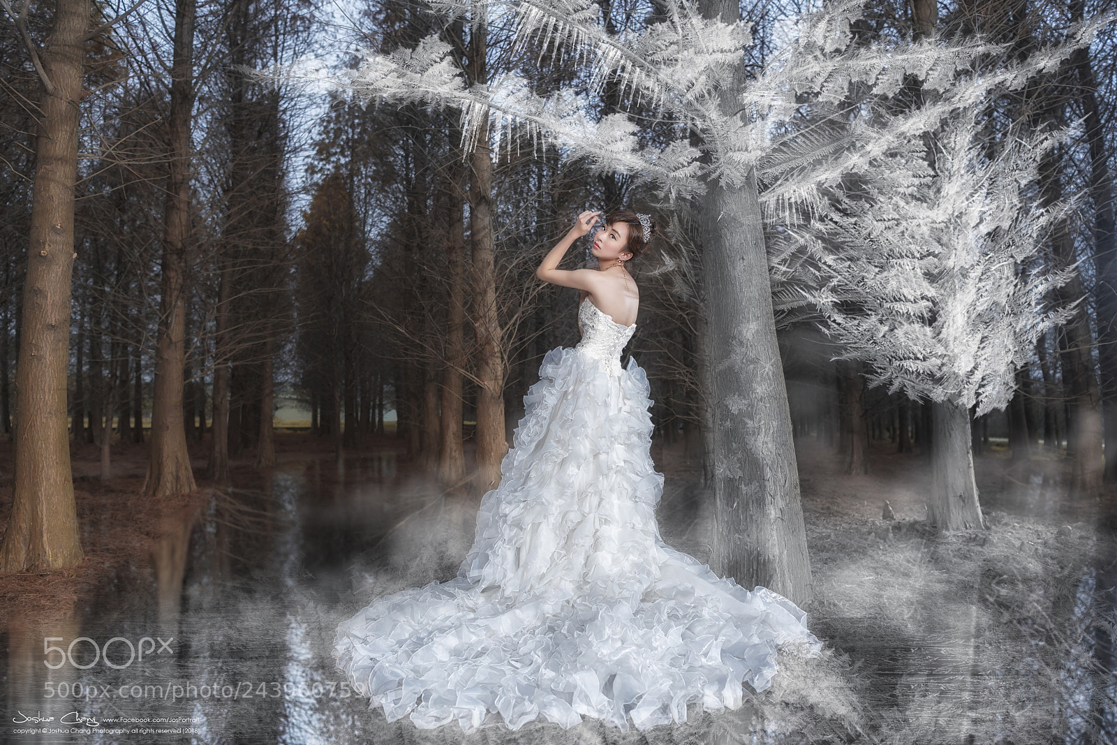 Nikon D850 sample photo. [surreal] pre wedding - 李欣恩 photography