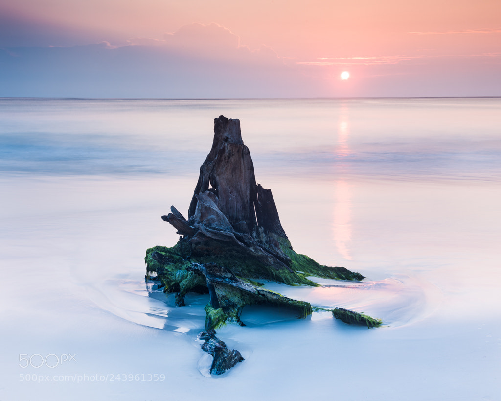 Nikon D810 sample photo. Drifting in the yukatan photography