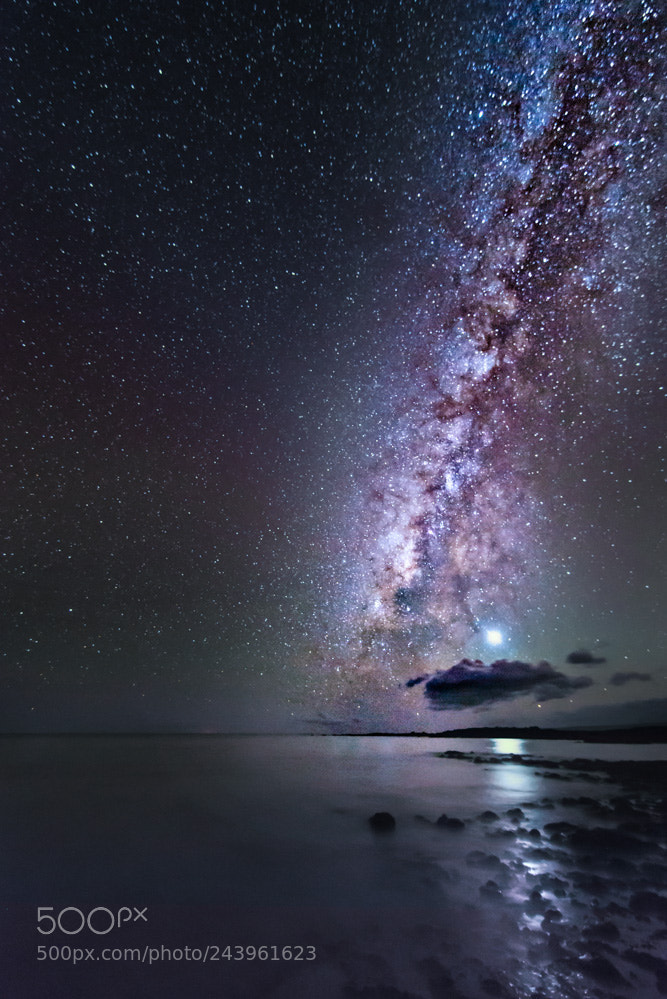 Nikon D600 sample photo. Venus and the milky photography