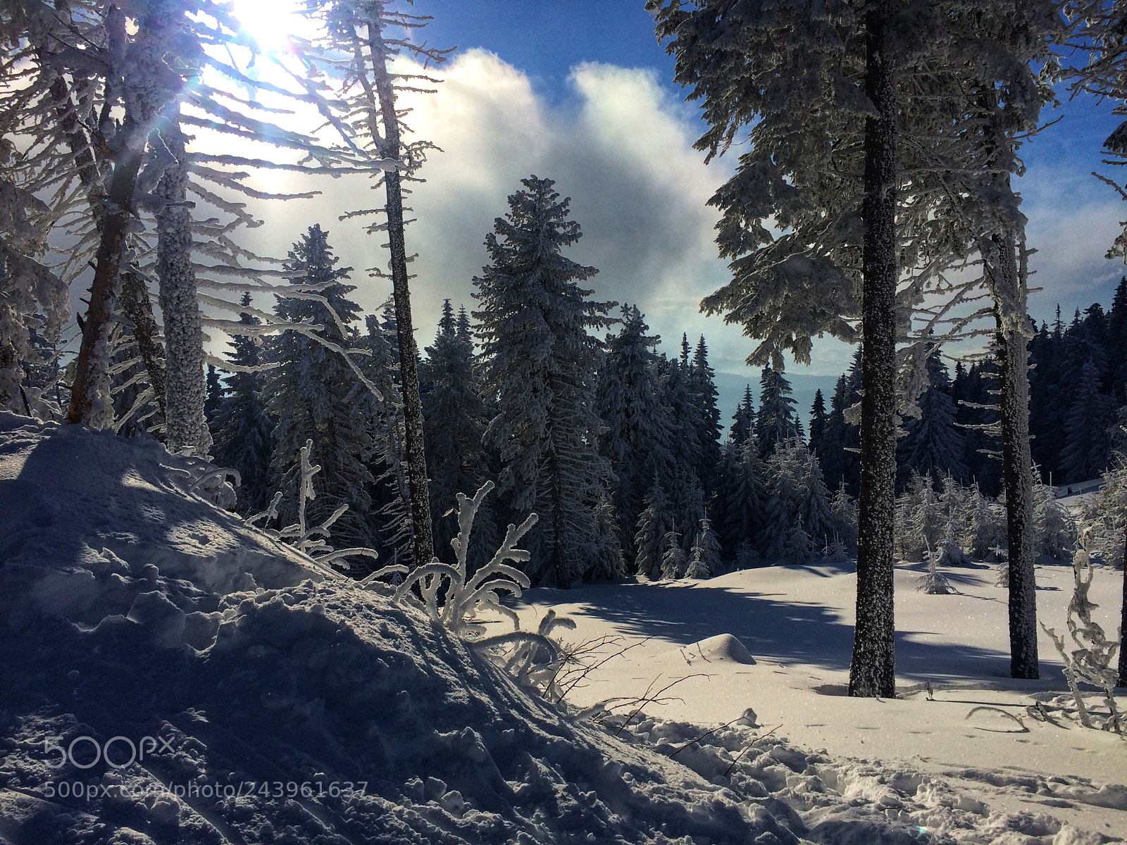 Apple iPhone 5s sample photo. Pieces of nature photography