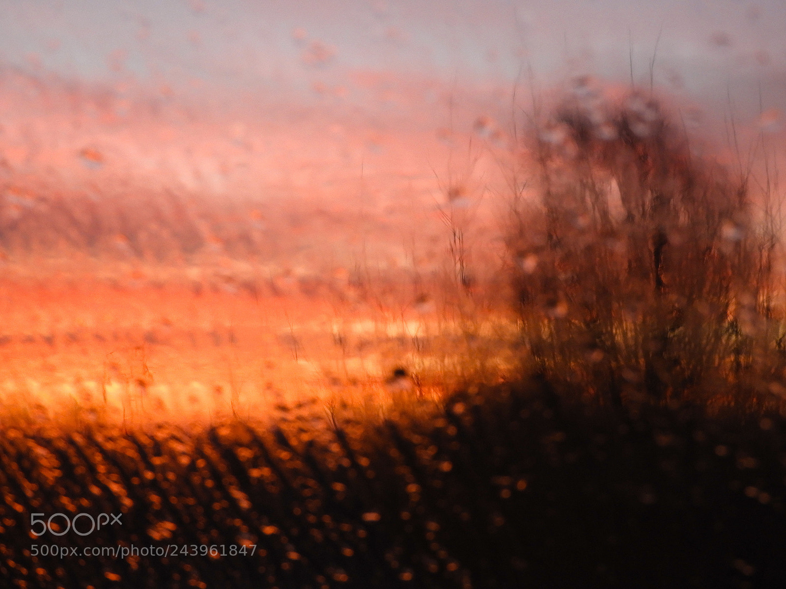 Nikon Coolpix B700 sample photo. Sunrise through rain photography