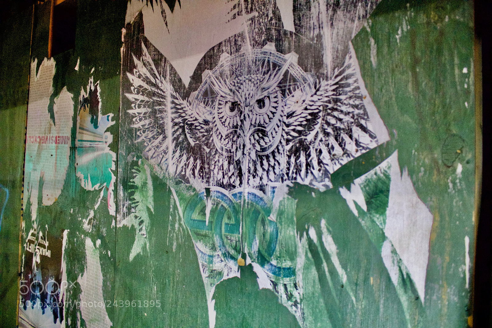 Canon EOS 750D (EOS Rebel T6i / EOS Kiss X8i) sample photo. Street art photography