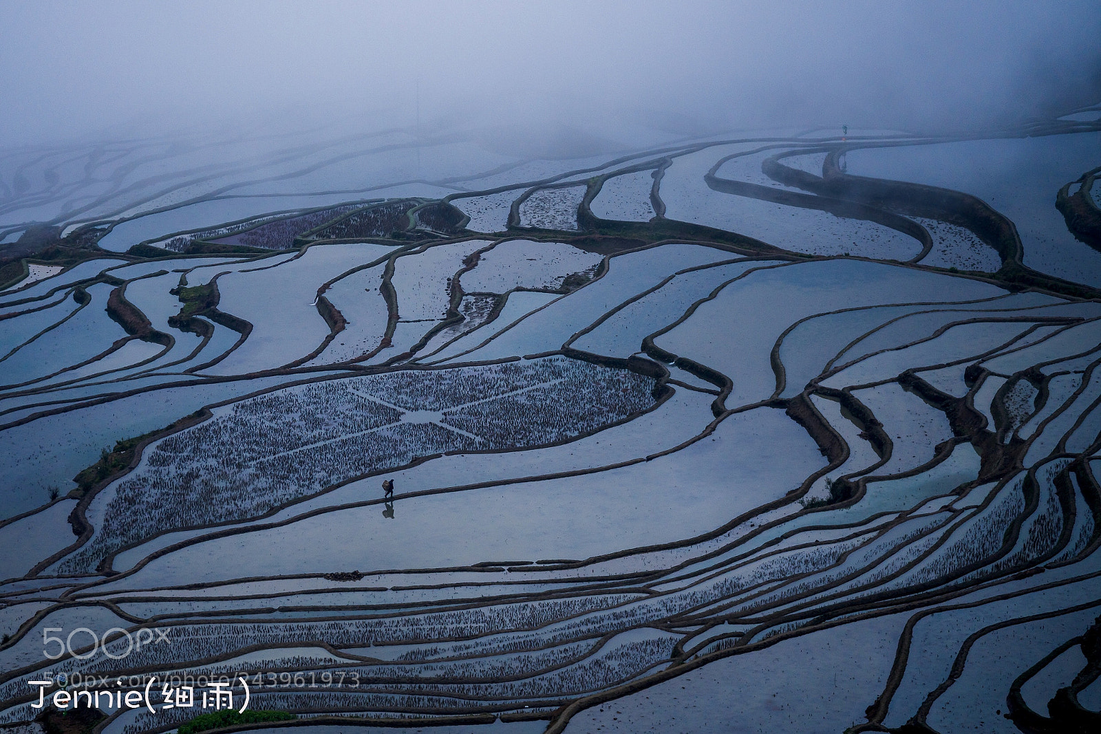 Sony a7R III sample photo. Yuanyang photography