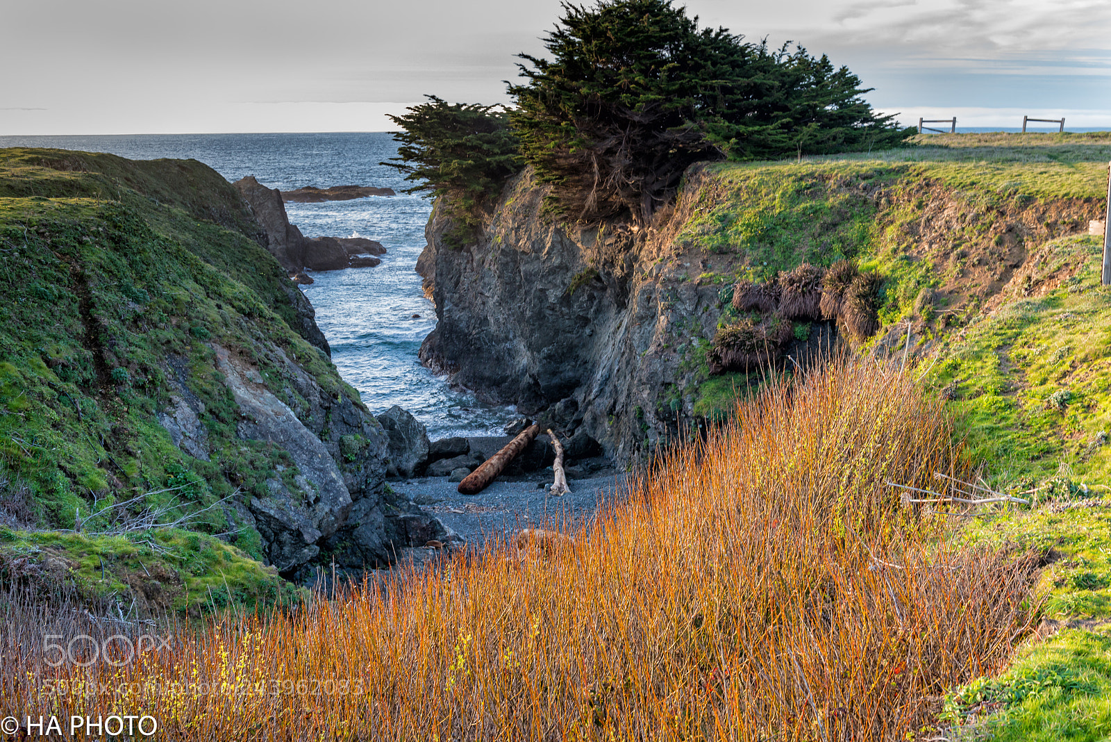 Nikon D800 sample photo. Point cabrillo photography