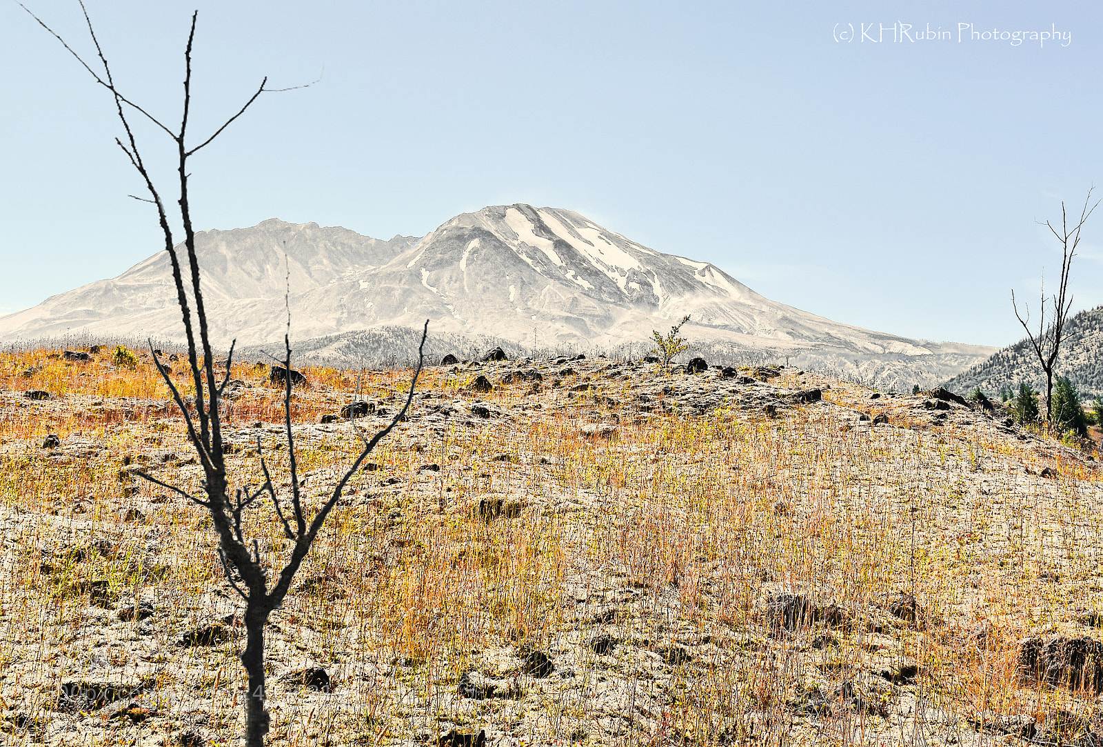 Nikon D5500 sample photo. Desolation photography