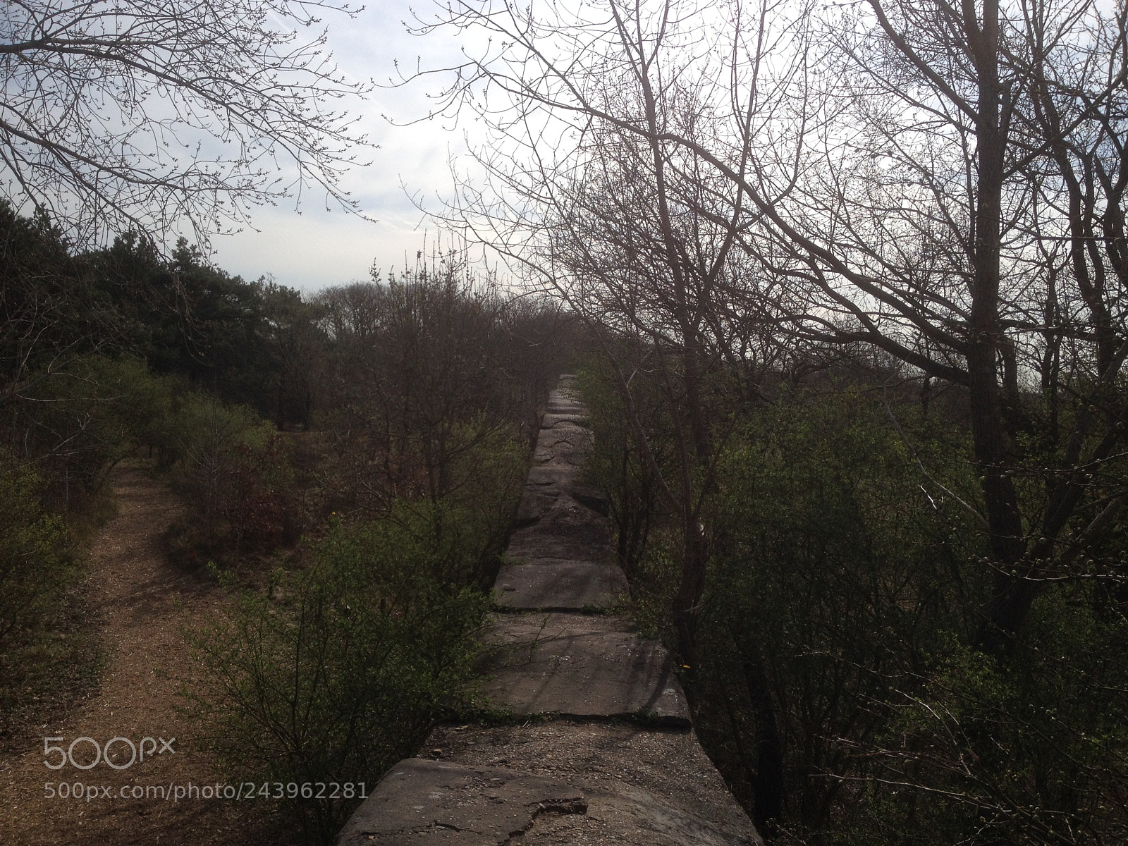 Apple iPhone 4S sample photo. Over the wall we photography