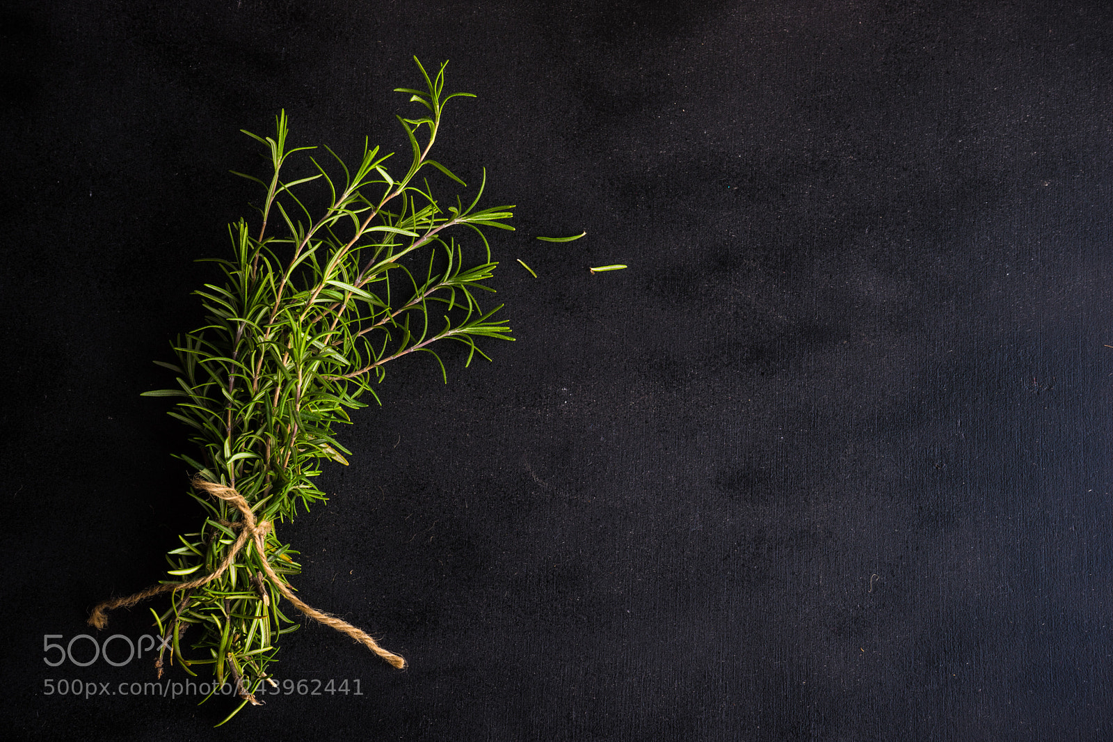 Sony a7 sample photo. Rosemary spice on dark photography
