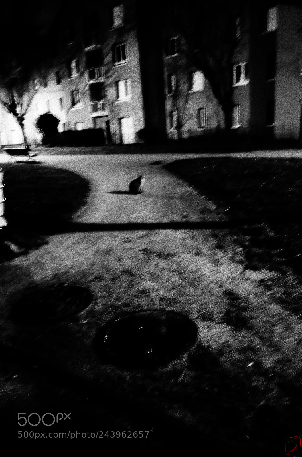 Ricoh GR II sample photo. Présence photography