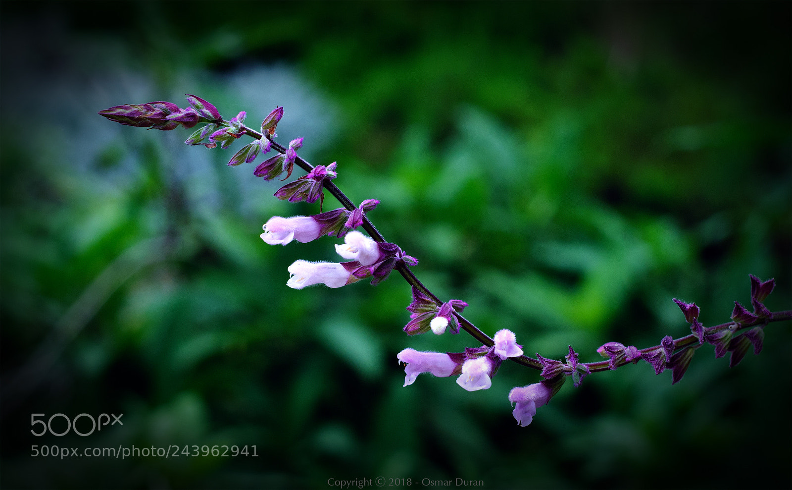 Nikon D200 sample photo. Wavy photography