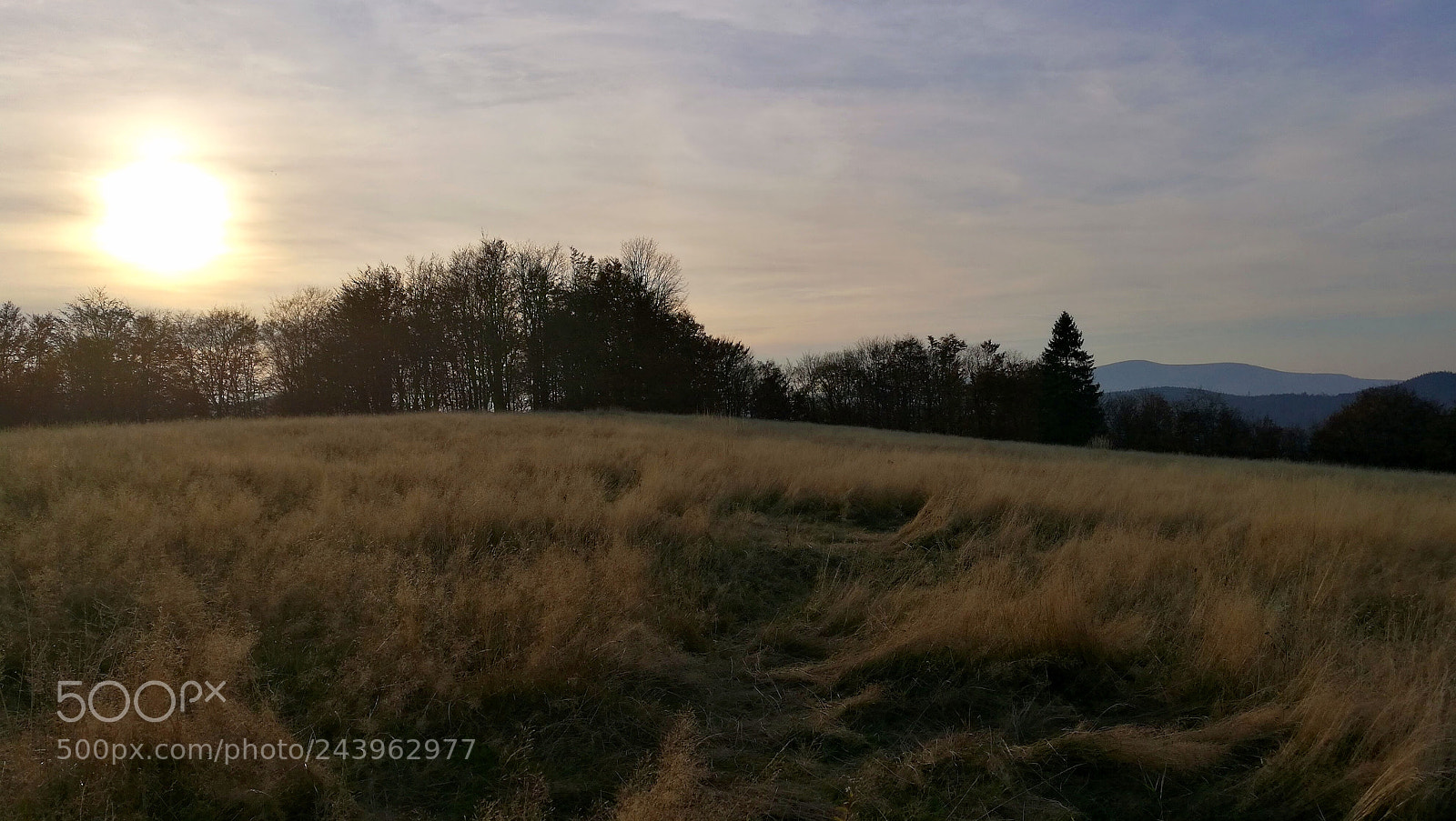 HUAWEI Honor 8 sample photo. Golden hour photography