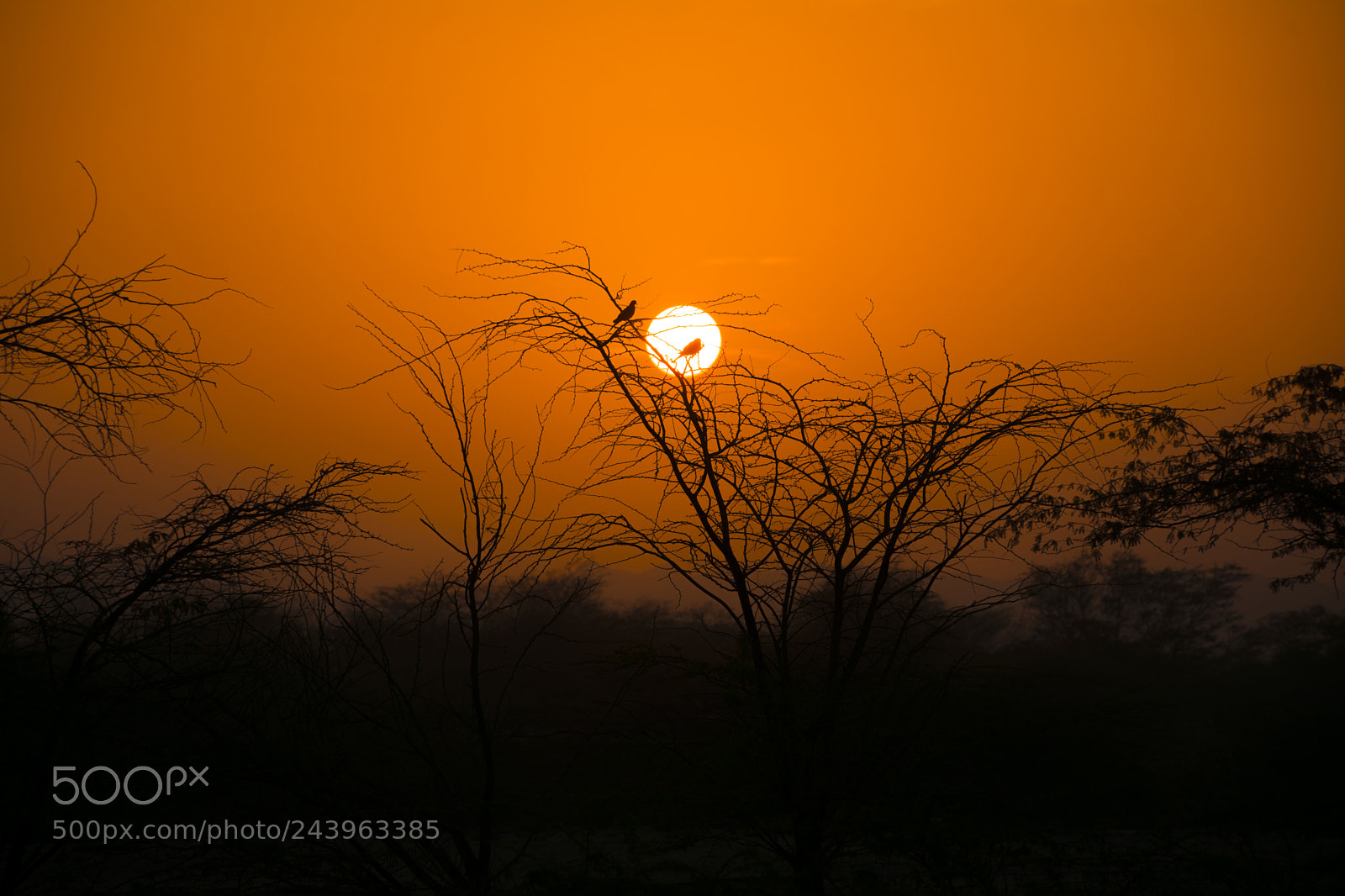 Nikon D7100 sample photo. Morning scene photography