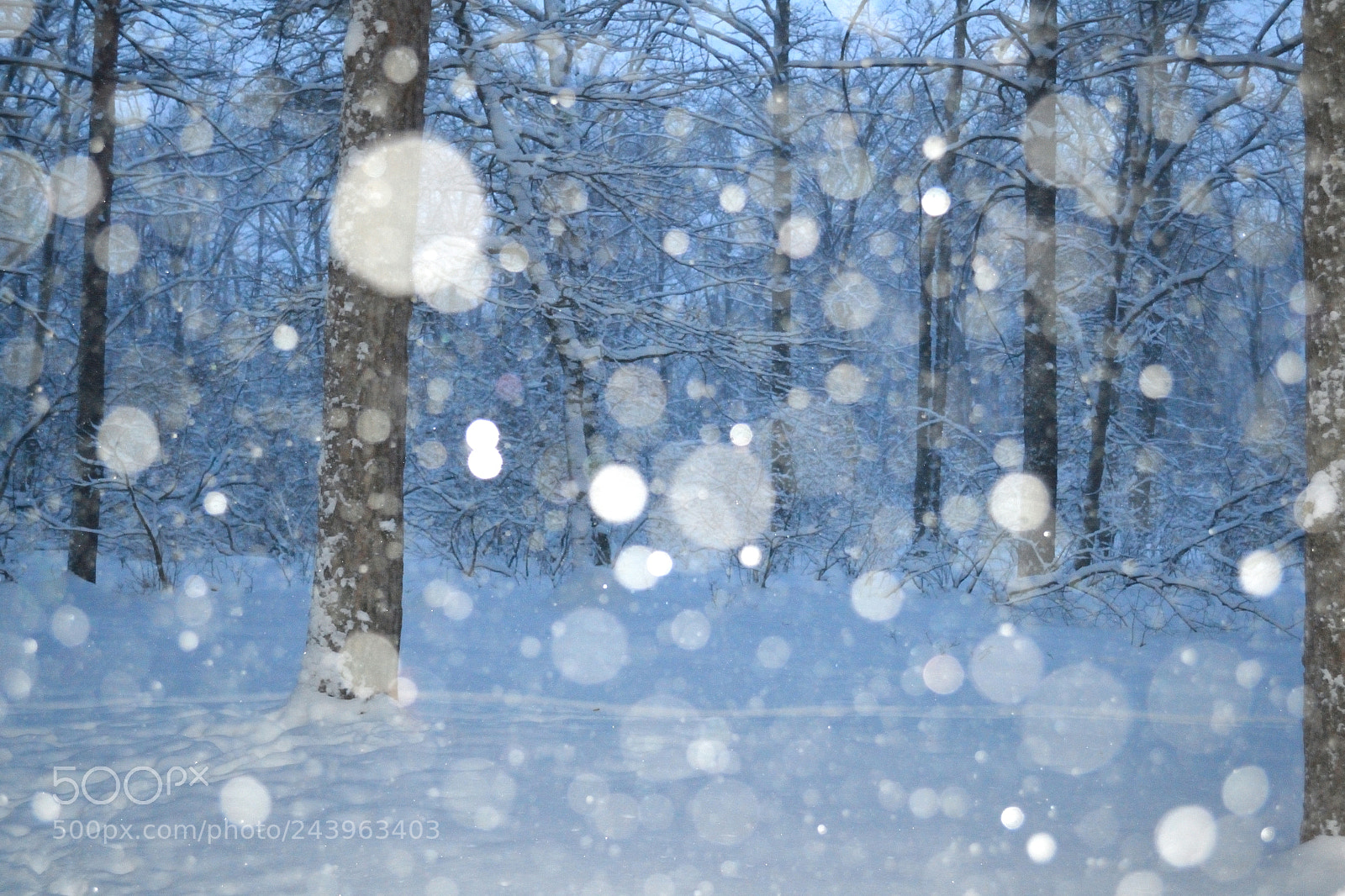 Nikon D3100 sample photo. Snowflakes like lights in photography
