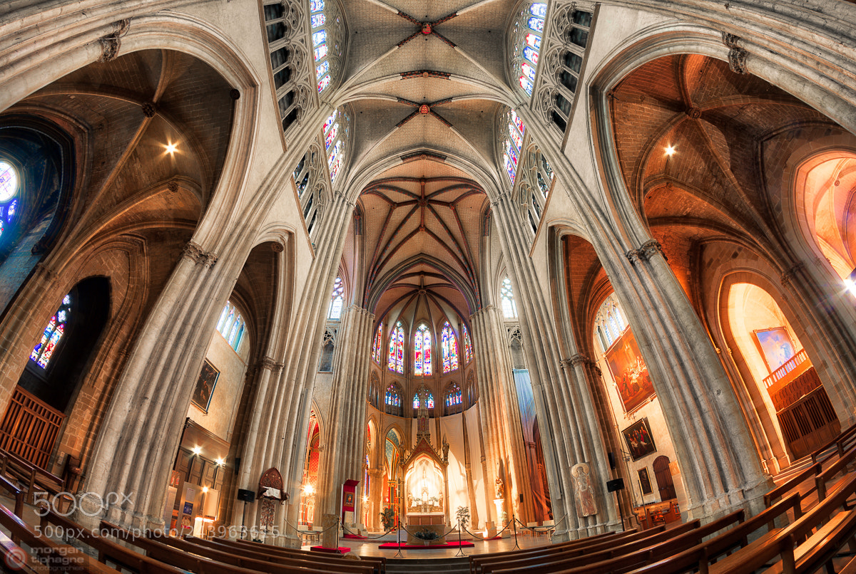 Nikon D7100 sample photo. Cath drale sainte-marie de photography