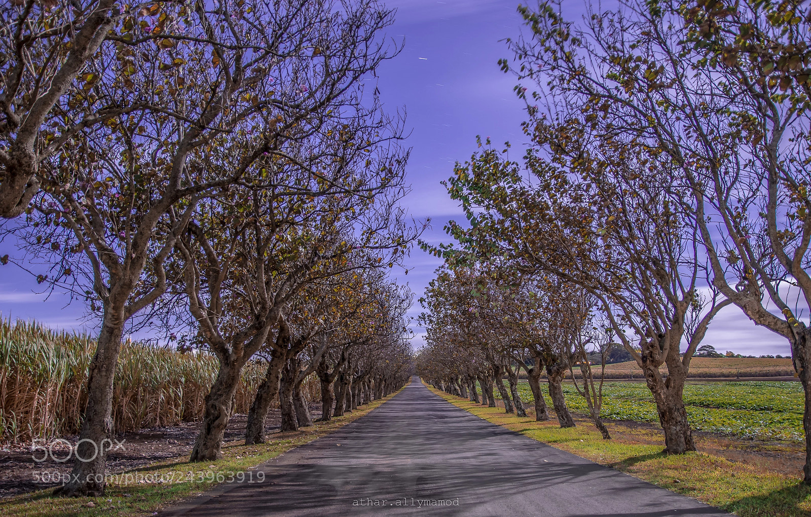 Nikon D7100 sample photo. Snapstudio moonpainting 2 photography