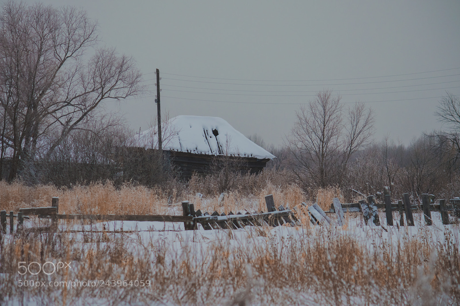 Nikon D3200 sample photo. Забытая деревня photography