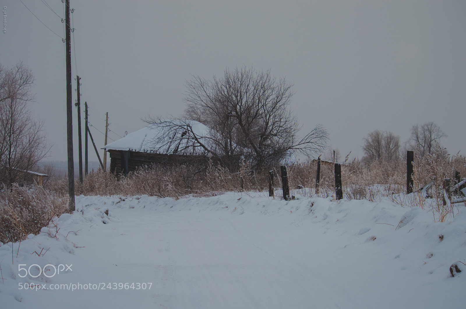 Nikon D3200 sample photo. Забытая деревня photography
