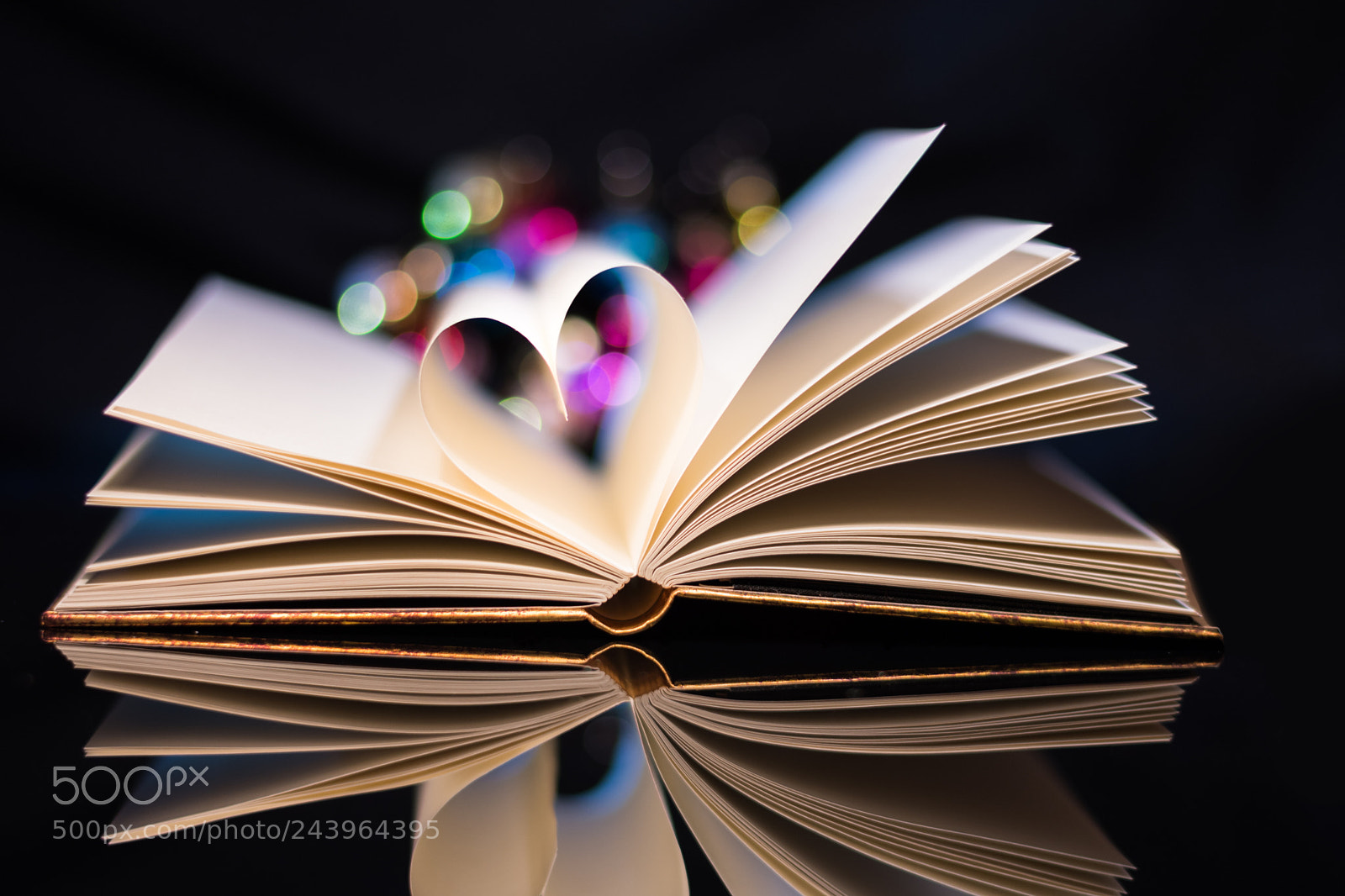 Nikon D7200 sample photo. Fantasy book photography