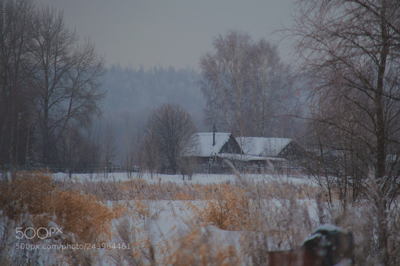 Nikon D3200 sample photo. Зимнее photography