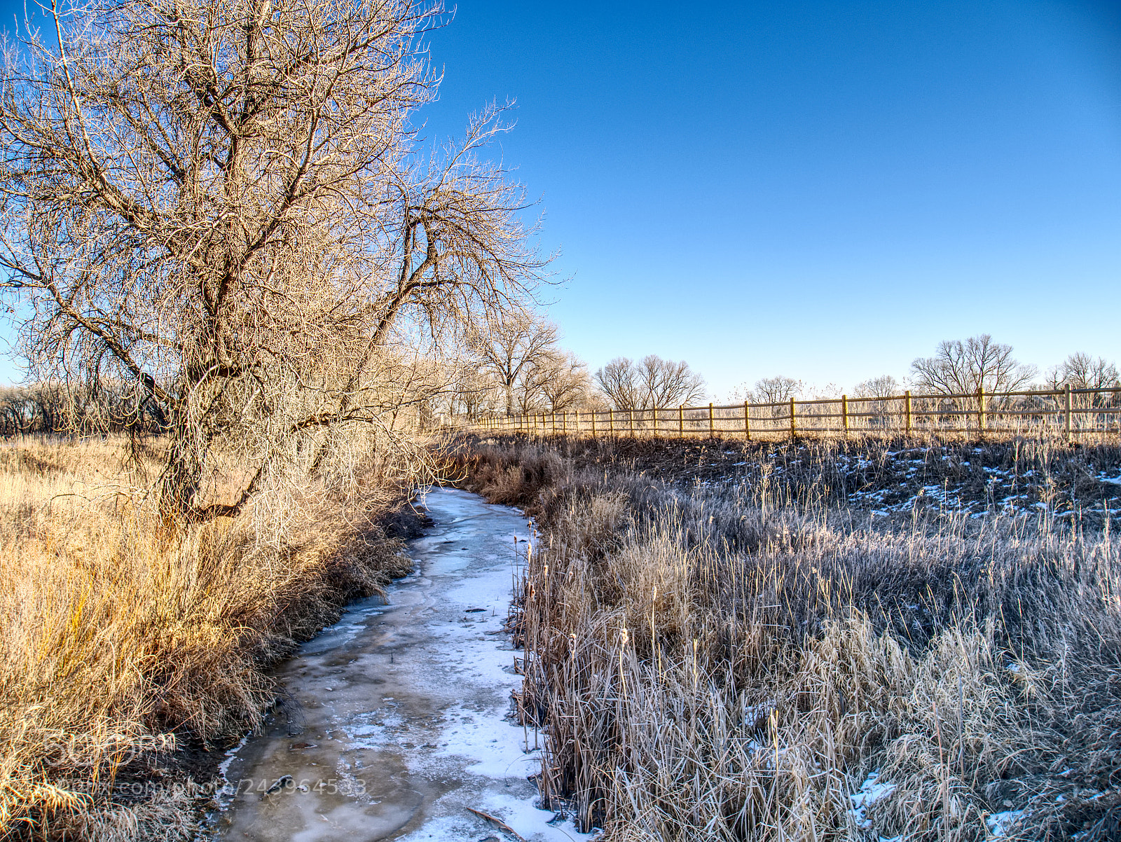 Panasonic Lumix DMC-G7 sample photo. Iced waters photography
