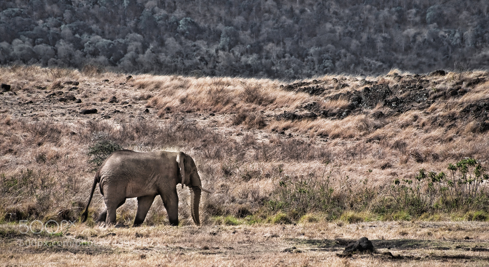 Nikon D90 sample photo. Tanzania photography