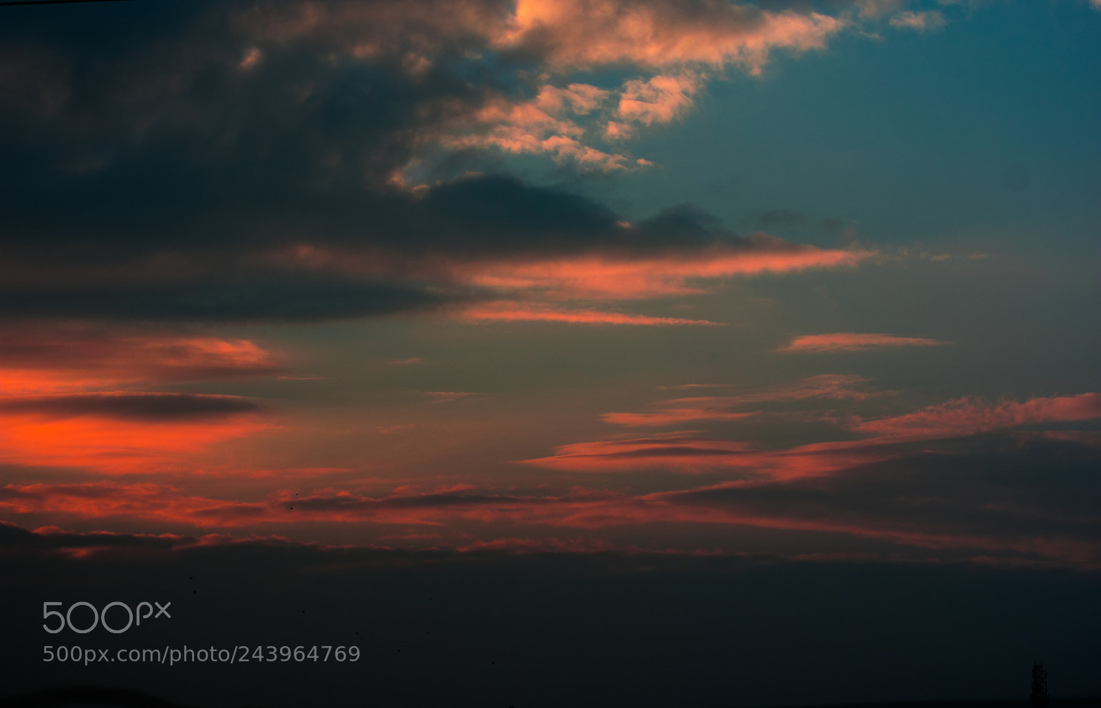 Nikon D3400 sample photo. Red sky photography
