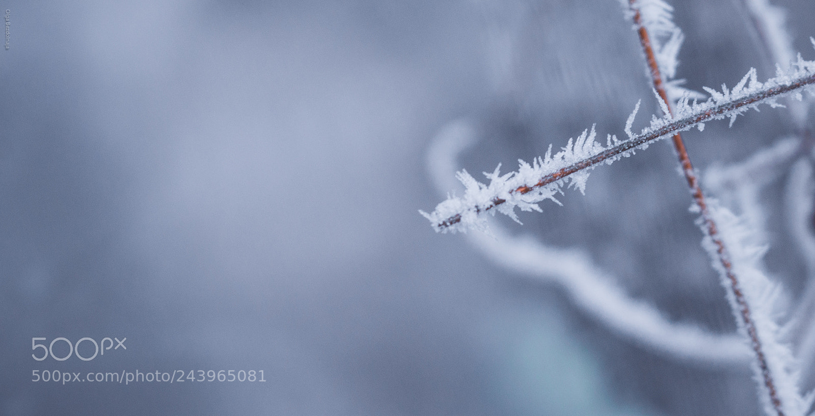 Nikon D3200 sample photo. -30°c photography